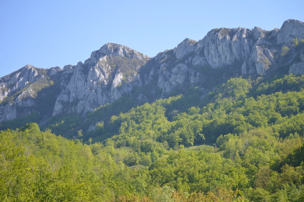 Terensko iskustvo