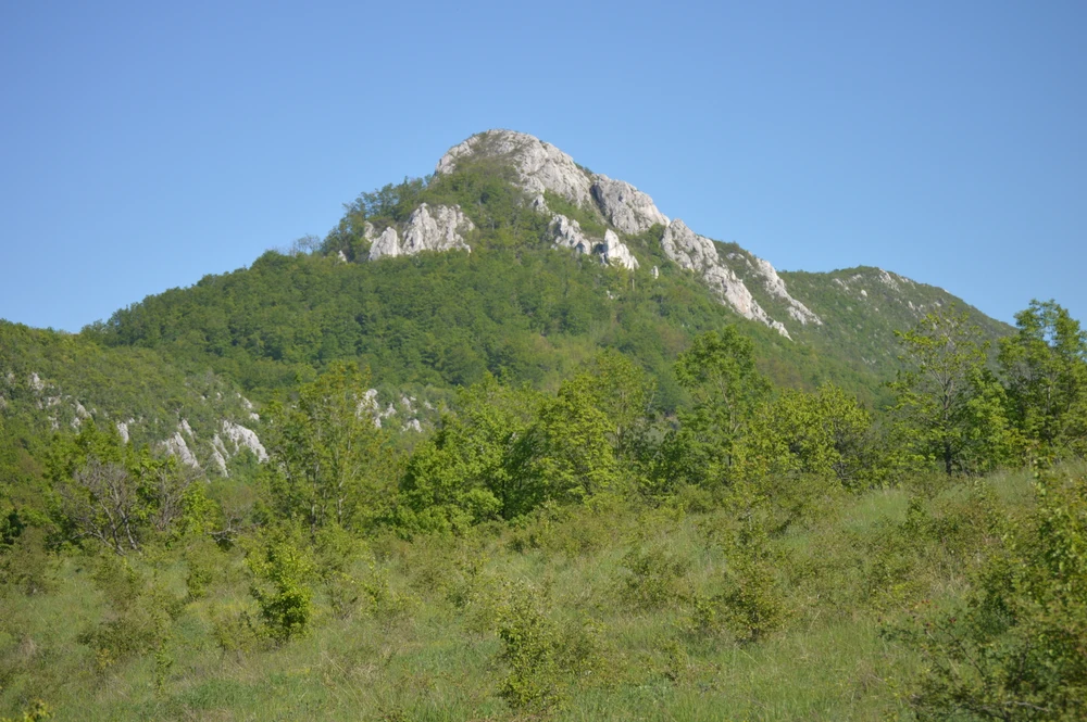 Veza sa zajednicom