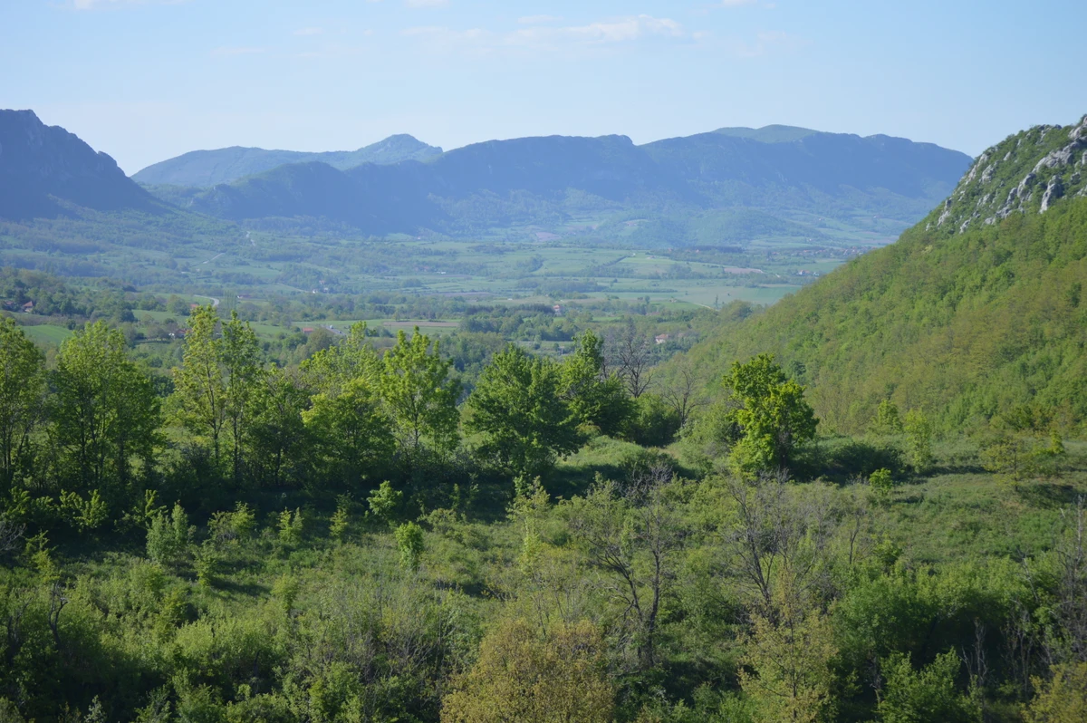 Priča koja povezuje šumu, teren i ljude