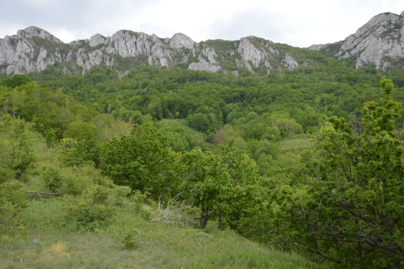 Aktivno prisustvo u lovačkoj zajednici