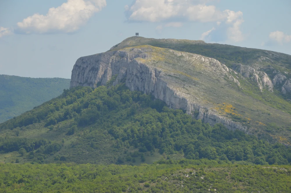 Posmatranje ptica